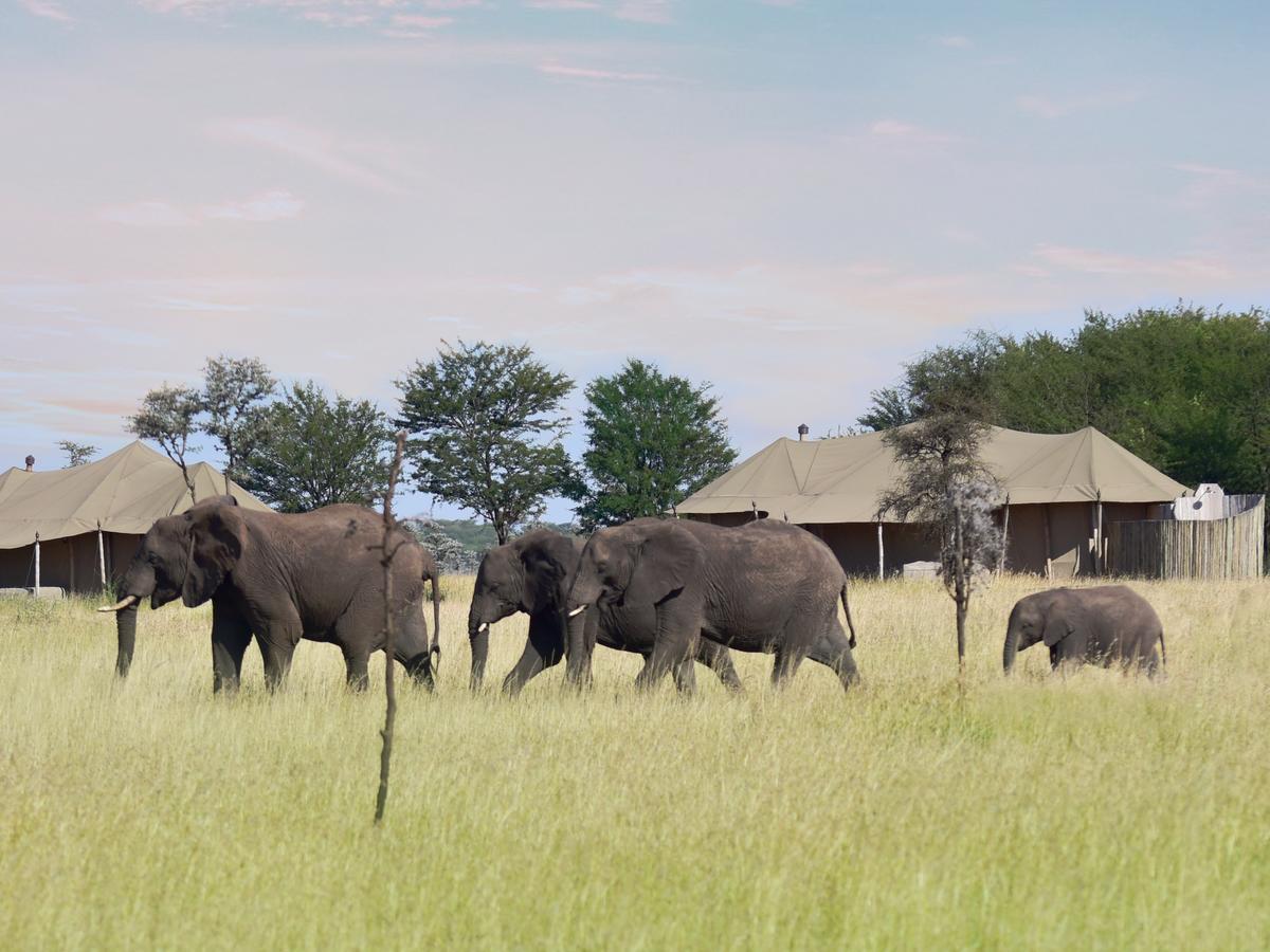 One Nature Nyaruswiga Serengeti Banagi Exteriér fotografie