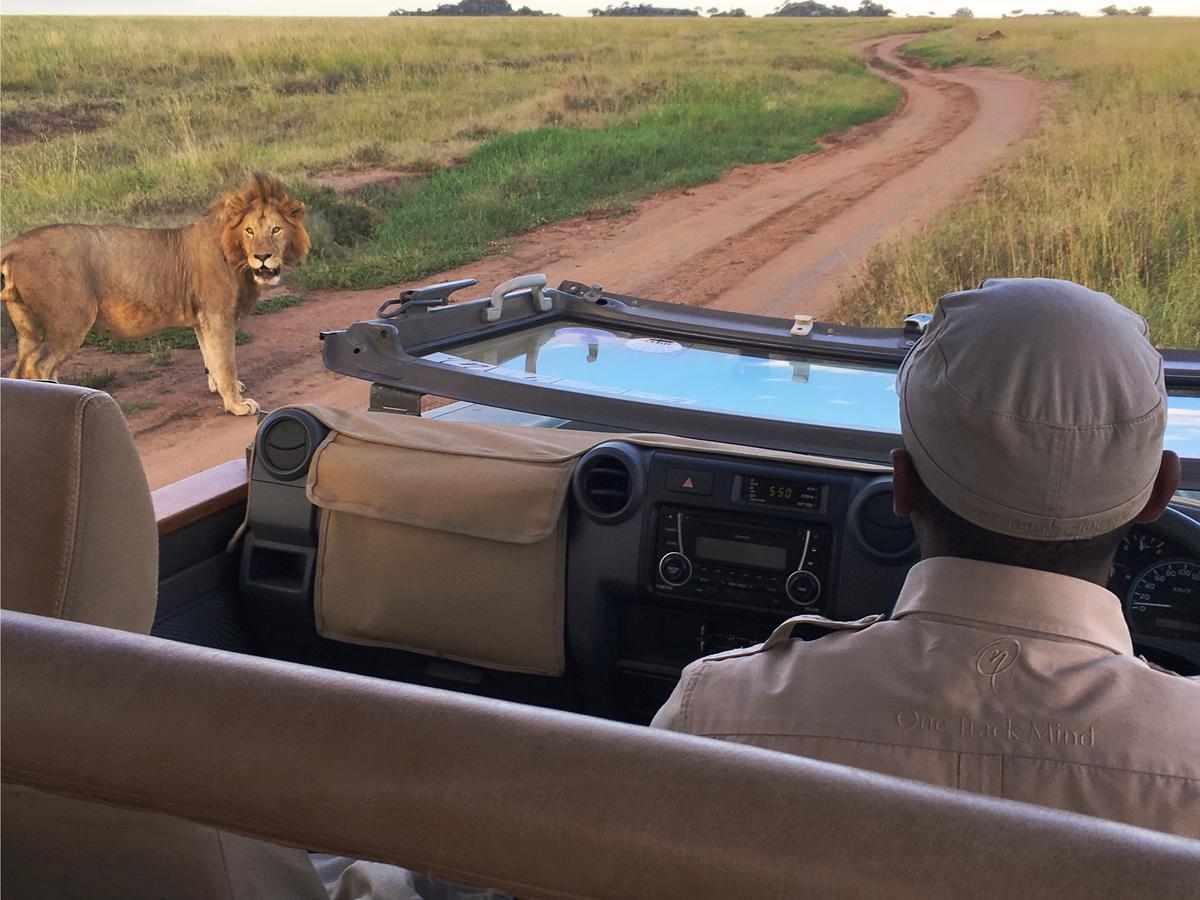 One Nature Nyaruswiga Serengeti Banagi Exteriér fotografie