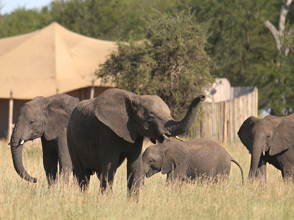 One Nature Nyaruswiga Serengeti Banagi Exteriér fotografie